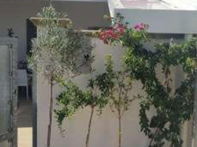 Villa Indipendente in affitto a San Cataldo, Puglia