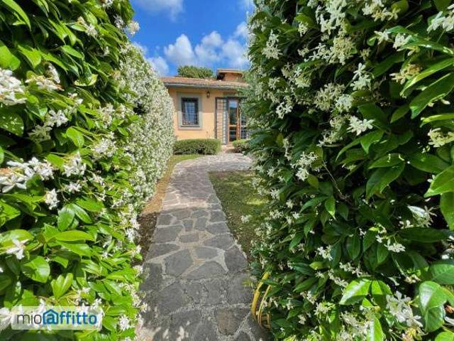 Villa Indipendente in affitto a Municipio Roma IX, Roma Capitale