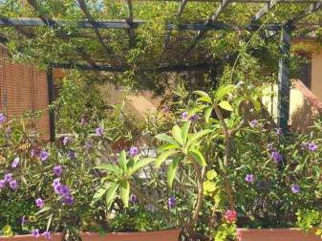 Villa Indipendente in affitto a Sciacca, Sicilia