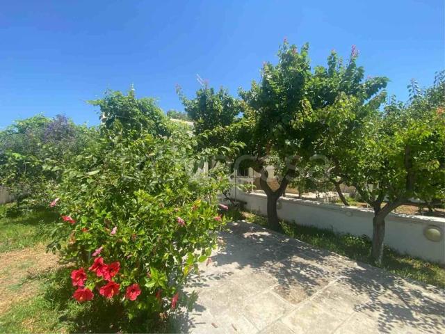 Villa Indipendente in affitto a Pantanagianni, Puglia