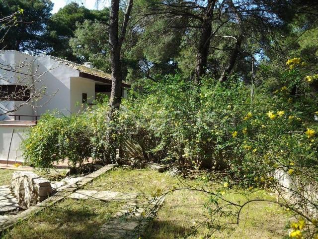 Villa Indipendente in affitto a Puglia, Taranto