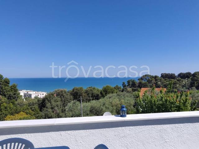 Villa Indipendente in affitto a Puglia, Foggia
