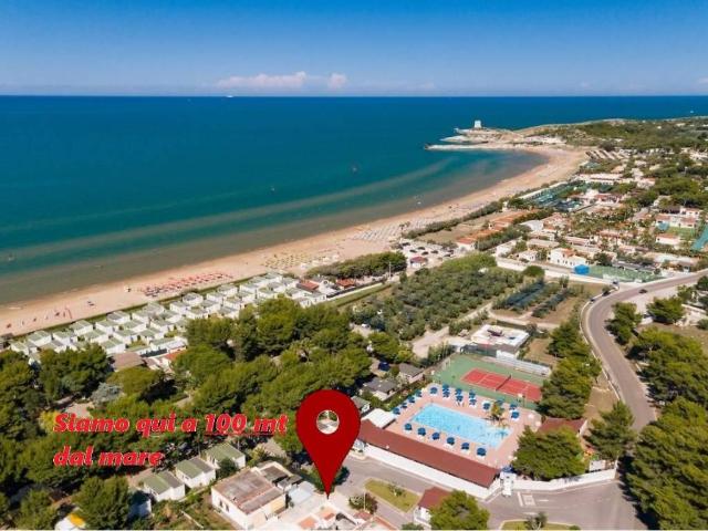 Villa Indipendente in affitto a Puglia, Foggia