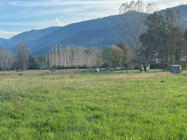 Villa Schiera in vendita a Verciano, Capannori