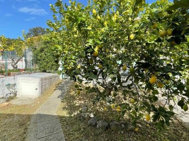 Villa Schiera in vendita a Calabria, Catanzaro