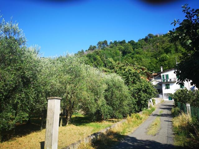 Villa Schiera in vendita a Luni, Liguria
