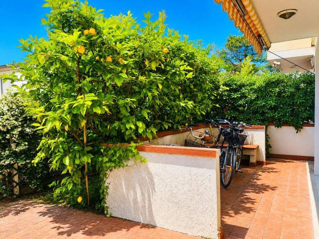 Villa Schiera in vendita a Marina di Massa, Marina Di Massa