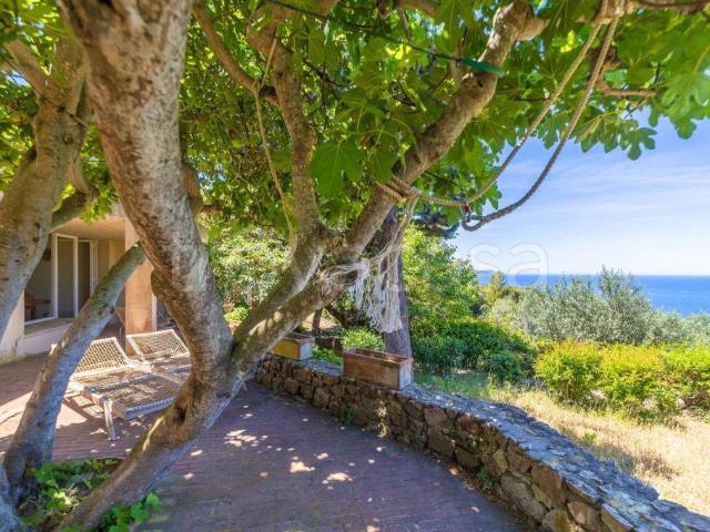 Villa Schiera in vendita a Monte Argentario, Cala Moresca