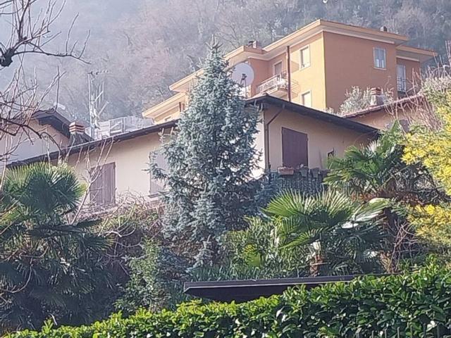 Villa Schiera in vendita a Oliveto Lario, Lombardia