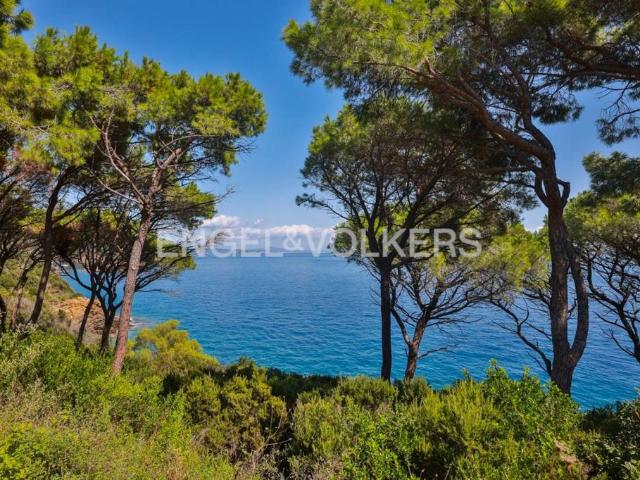 Villa Schiera in vendita a Livorno, Toscana