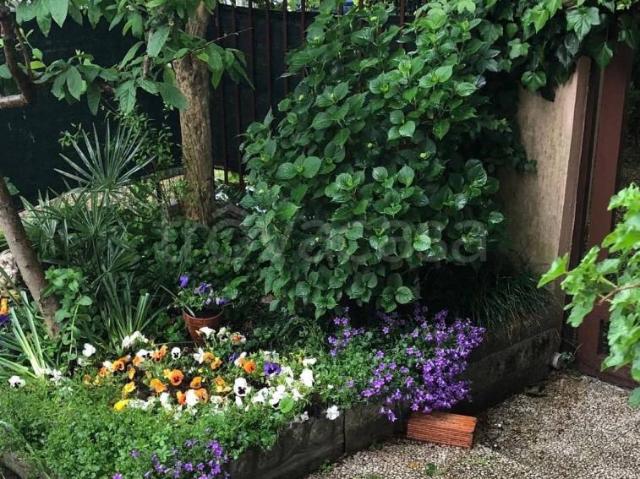 Villa Schiera in vendita a Agrate Brianza, Lombardia