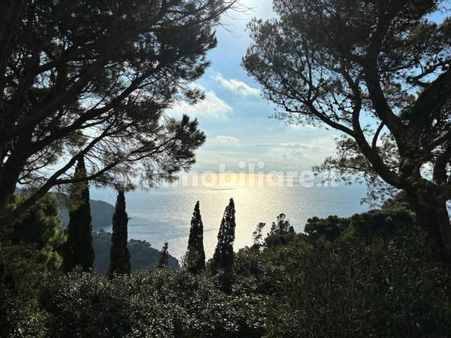 Villa Indipendente in affitto a Montesilvano Colle, Montesilvano