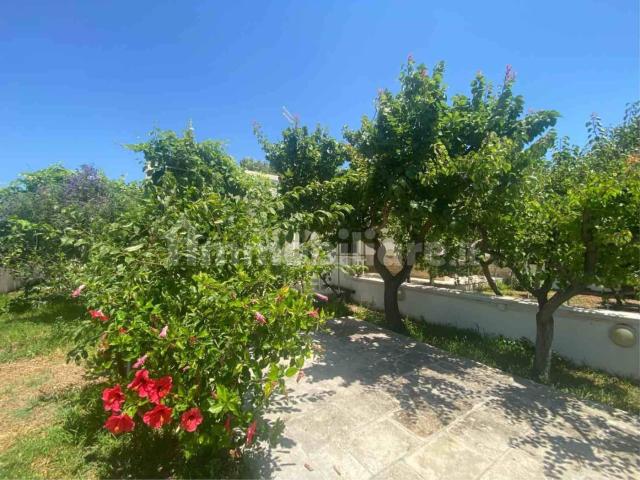 Villa Indipendente in affitto a Residence Riva Marina, Carovigno