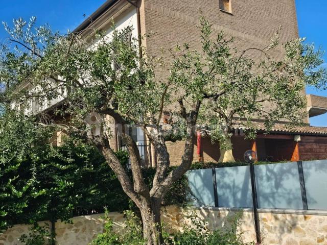 Villa Indipendente in affitto a Francavilla Al Mare, Abruzzo