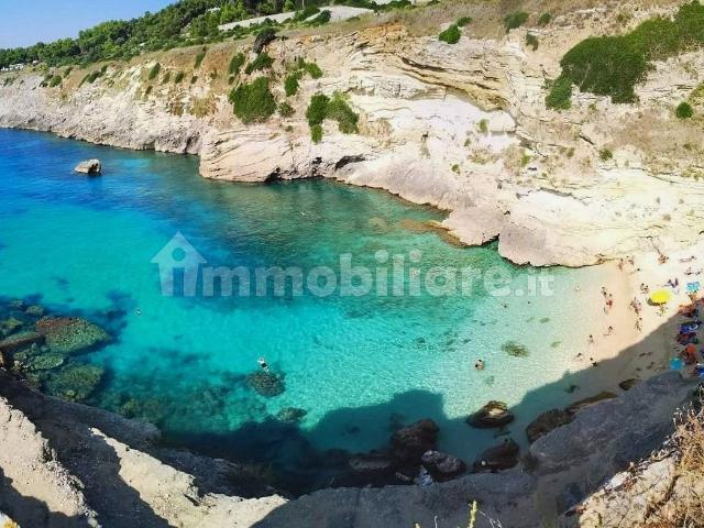 Villa Indipendente in affitto a Circoscrizione 3, Piemonte