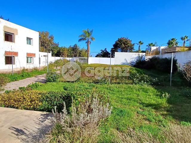 Propriété vente à Témara