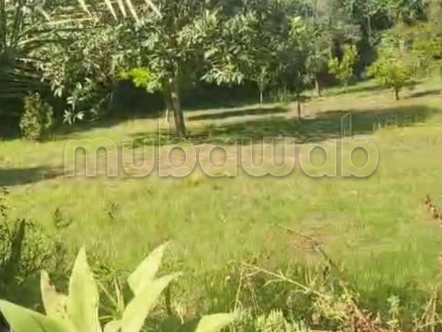 Villa vente à Rbat