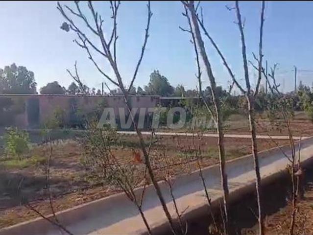 Propriété vente à Berrechid, Gharb-Chrarda-Beni Hssen