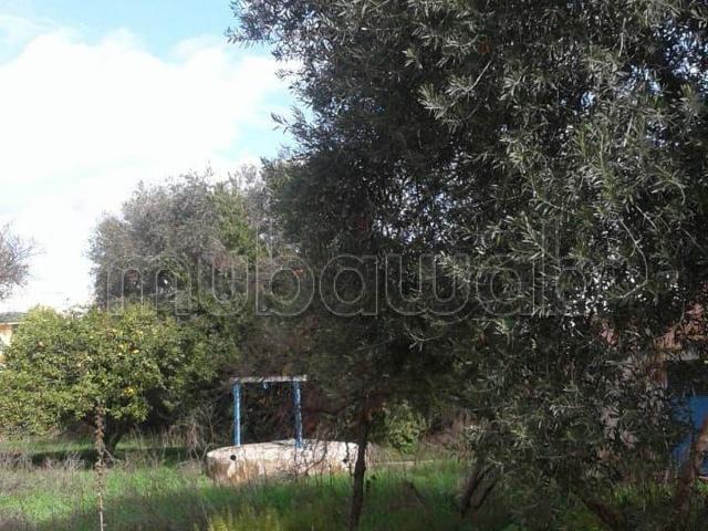 Villa vente à Meknès