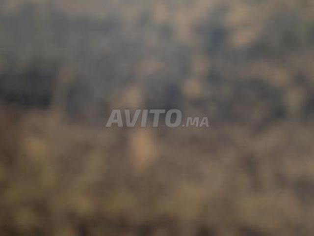Propriété vente à Taghazout, Oued ed Dahab-Lagouira