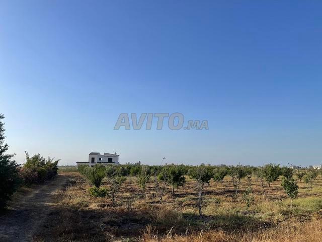 Propriété vente à Slimane, Gharb-Chrarda-Beni Hssen