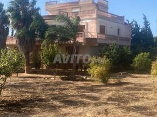 Propriété vente à Assilah أصيلة, Préfecture de Tanger-Assilah عمالة طنجة-أصيلة