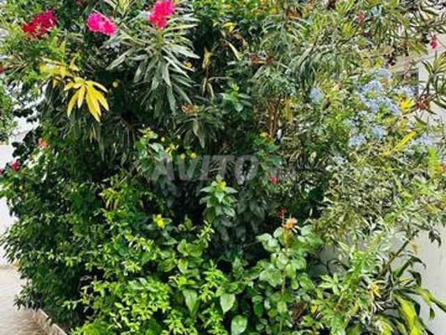 Propriété vente à Tétouan, Tanger-Tétouan