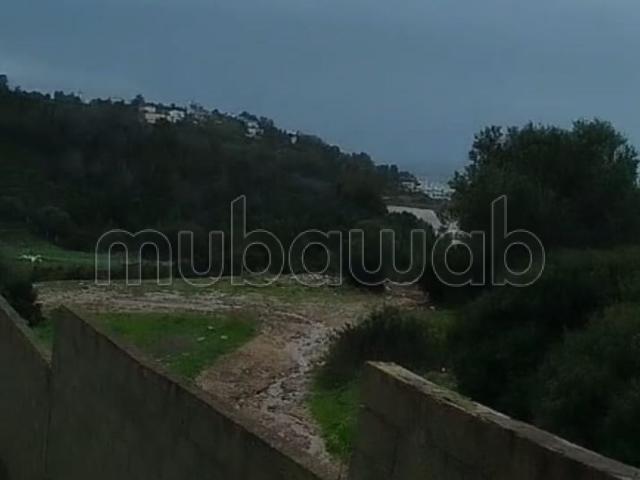 Villa vente à Tangero, Tanger-Tétouan