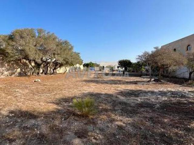 Propriété vente à Essaouira, L'Oriental