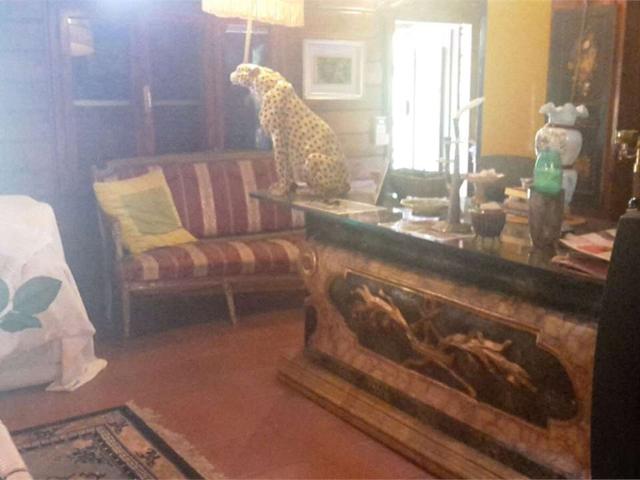 Villa Indipendente in affitto a Magione, Umbria