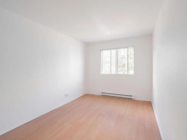 Apartment for rent in Vieux Saint-Laurent, Montréal