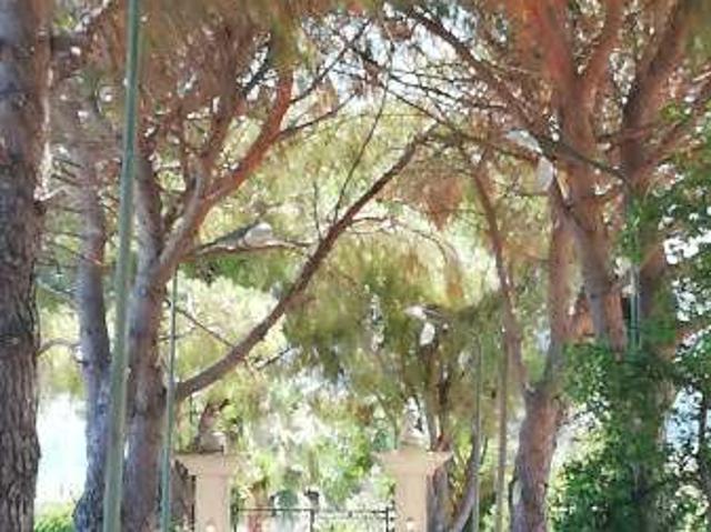 Villa Indipendente in affitto a Carini, Sicilia