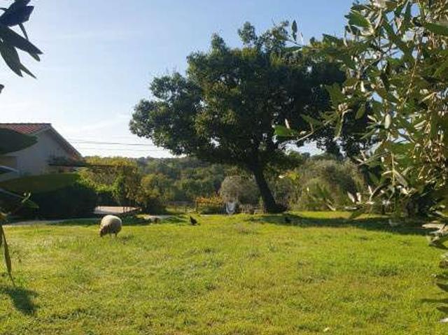 Villa Indipendente in affitto a Scansano, Toscana