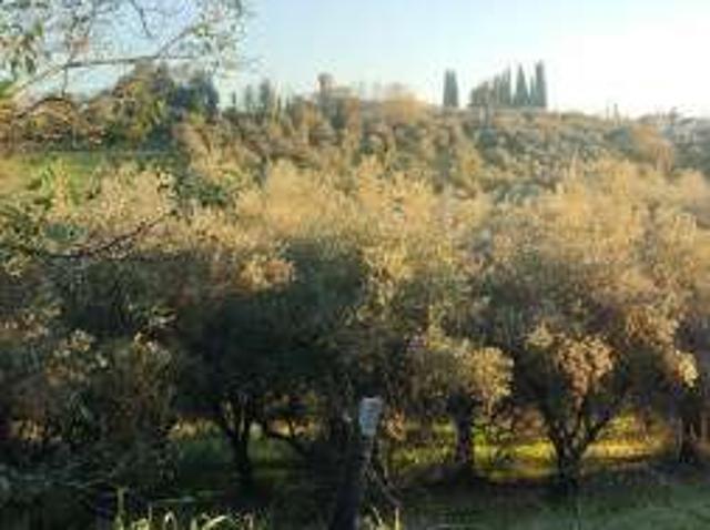 Villa Indipendente in affitto a Lastra A Signa, Toscana