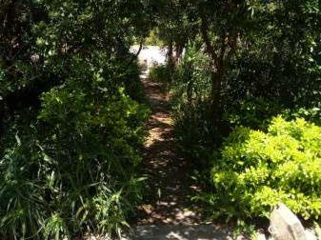 Villa Indipendente in affitto a Capaccio, Campania