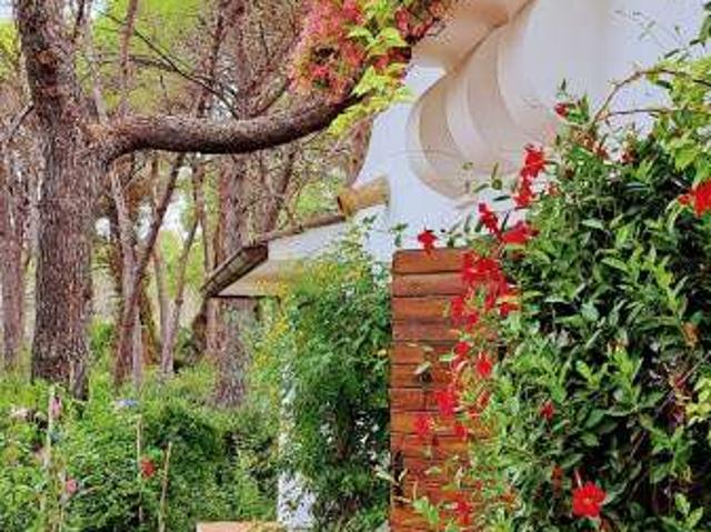 Villa Indipendente in affitto a Puglia, Taranto