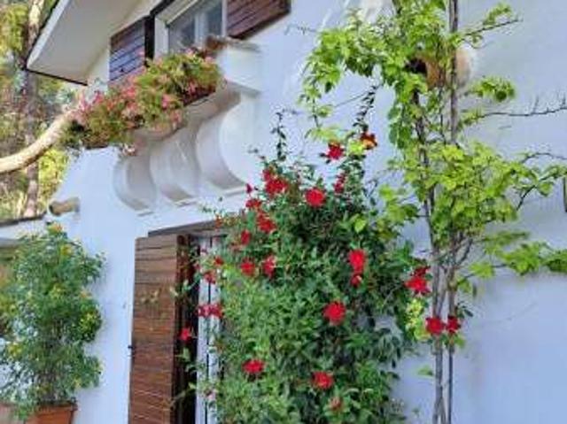 Villa Indipendente in affitto a Puglia, Taranto