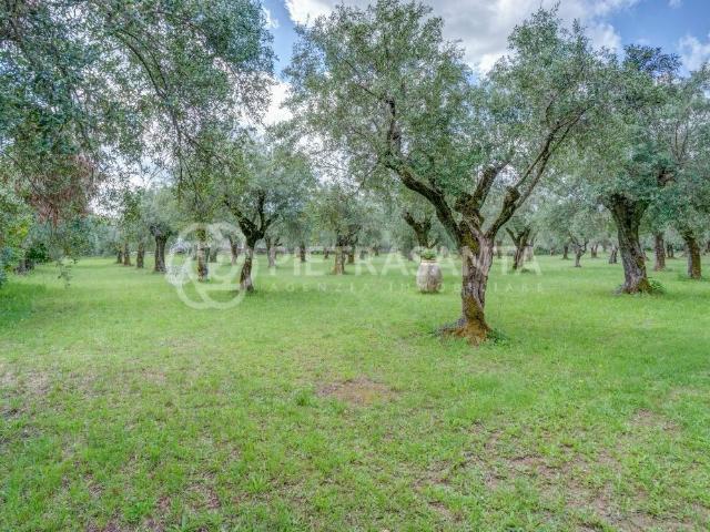 Villa Indipendente in affitto a Frasso, Seravezza