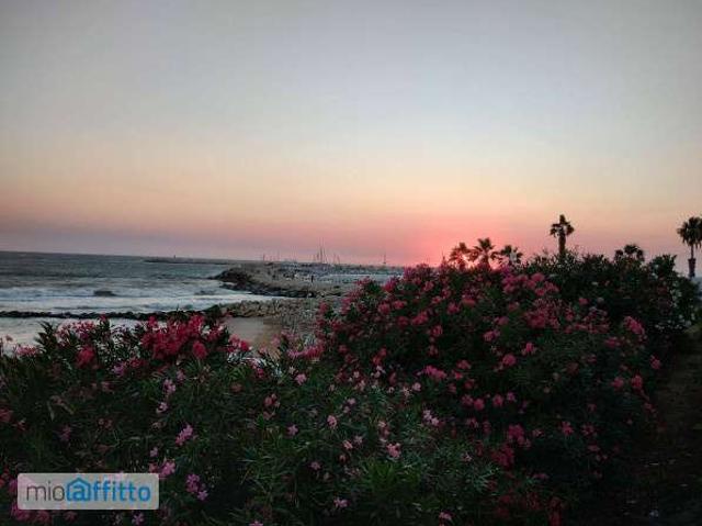 Villa Indipendente in affitto a Vittoria, Sicilia