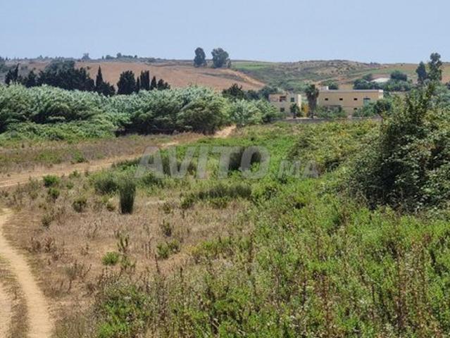 Propriété vente à Assilah, Tanger-Tétouan