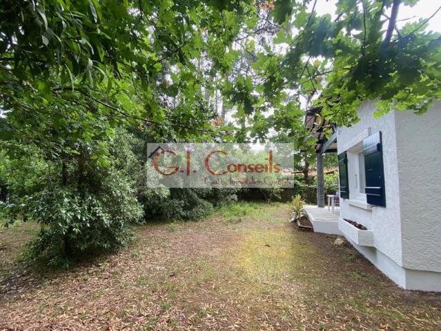 Maison vente à Arcachon, Lège-cap-ferret