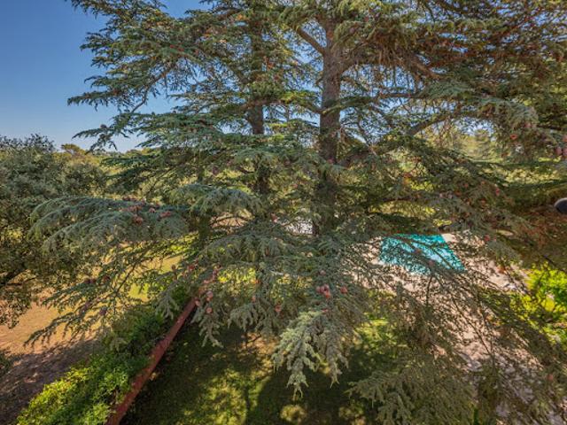 Villa vente à Arrondissement de Draguignan, Taradeau