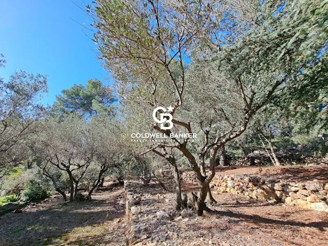 Villa vente à Arrondissement de Toulon, Carqueiranne