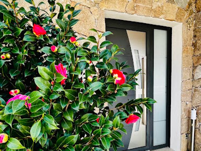Villa vente à Calvi
