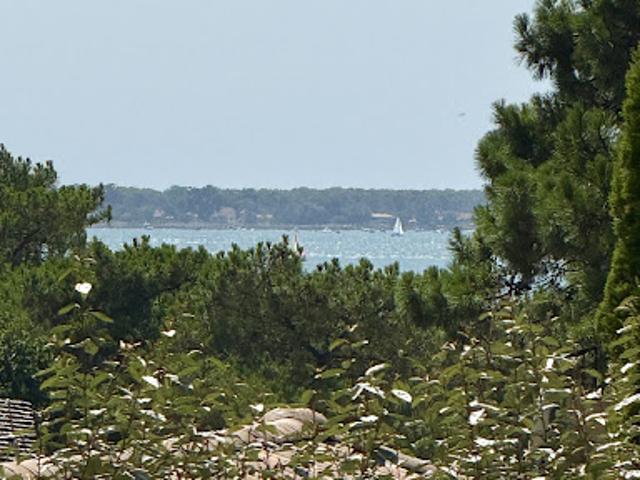 Villa vente à Arcachon, La Teste-de-buch