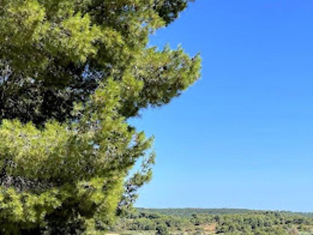 Villa vente à Castelnau-de-Guers, Hérault