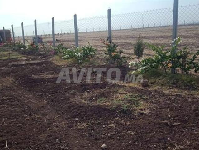 Propriété vente à Berrechid, Gharb-Chrarda-Beni Hssen