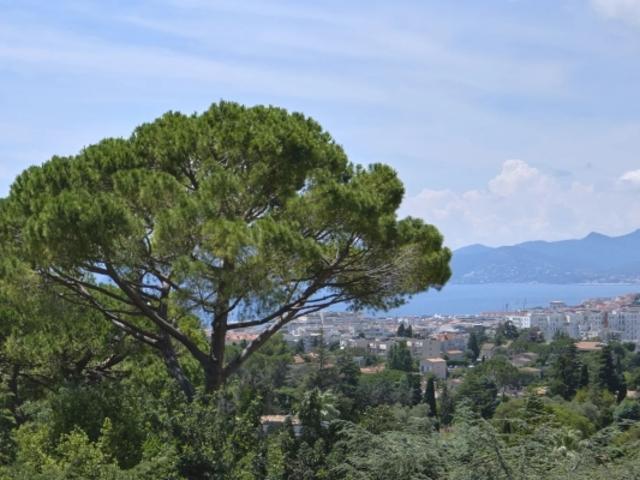 Maison vente à Grasse, Cannes