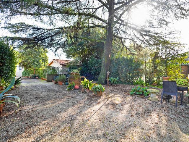 Villa Indipendente in vendita a Bientina, Toscana