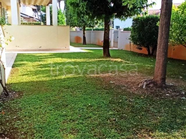 Villa Indipendente in affitto a Camaiore, Lucca